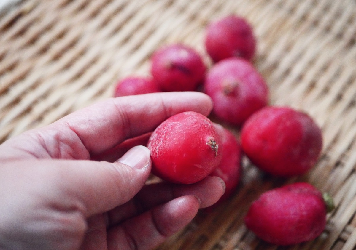 “清洗櫻桃蘿蔔灰塵”/
